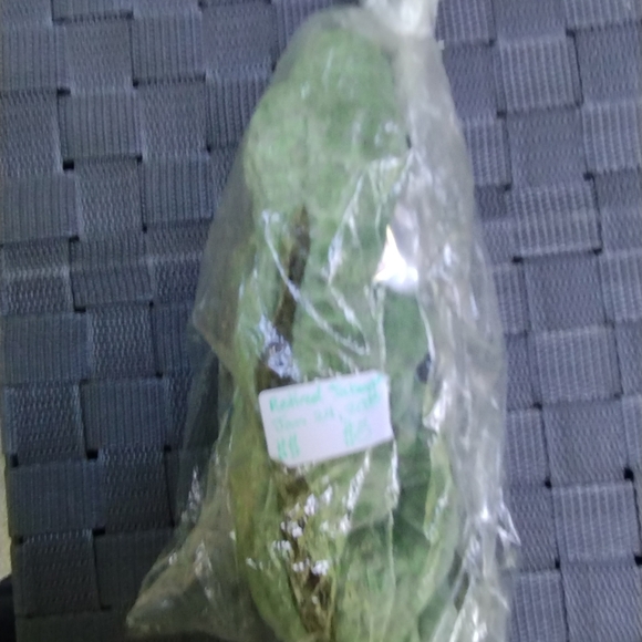 🦋🏵️🦋Set of 2 Retired Beanie Babies Swampy and Stinger - Picture 11 of 16